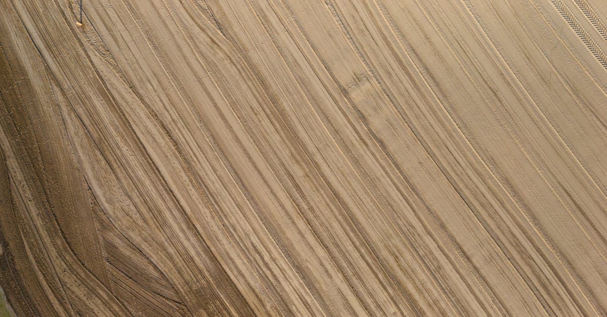 découvrez la bibliothèque ikea billy, un meuble polyvalent et élégant pour organiser vos livres et décorer votre intérieur avec simplicité.