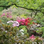 Autres espaces : inspiration garden pour la maison