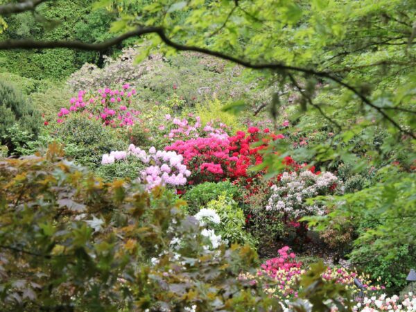 Autres espaces : inspiration garden pour la maison