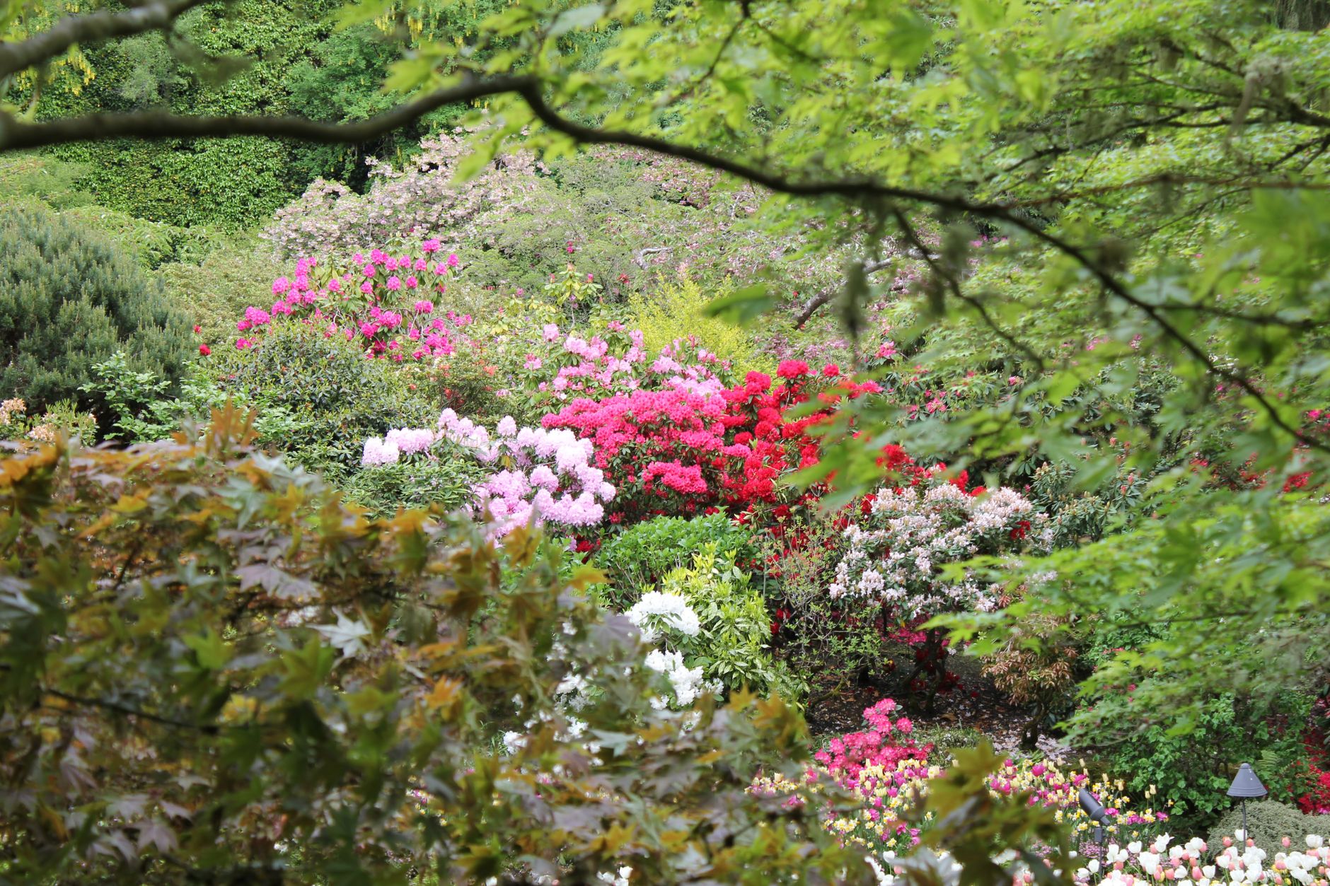 Autres espaces : inspiration garden pour la maison